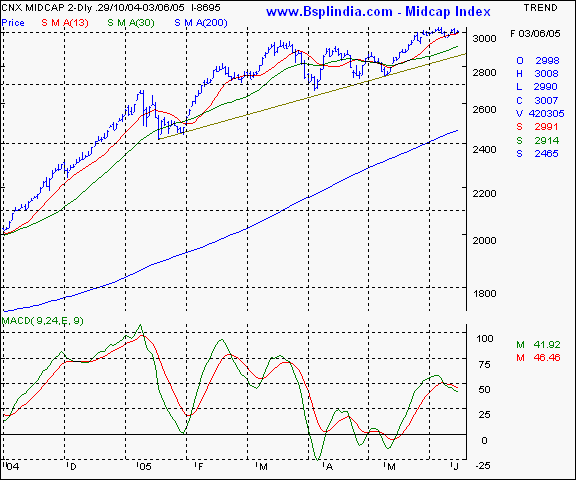 Midcap Index - Daily chart